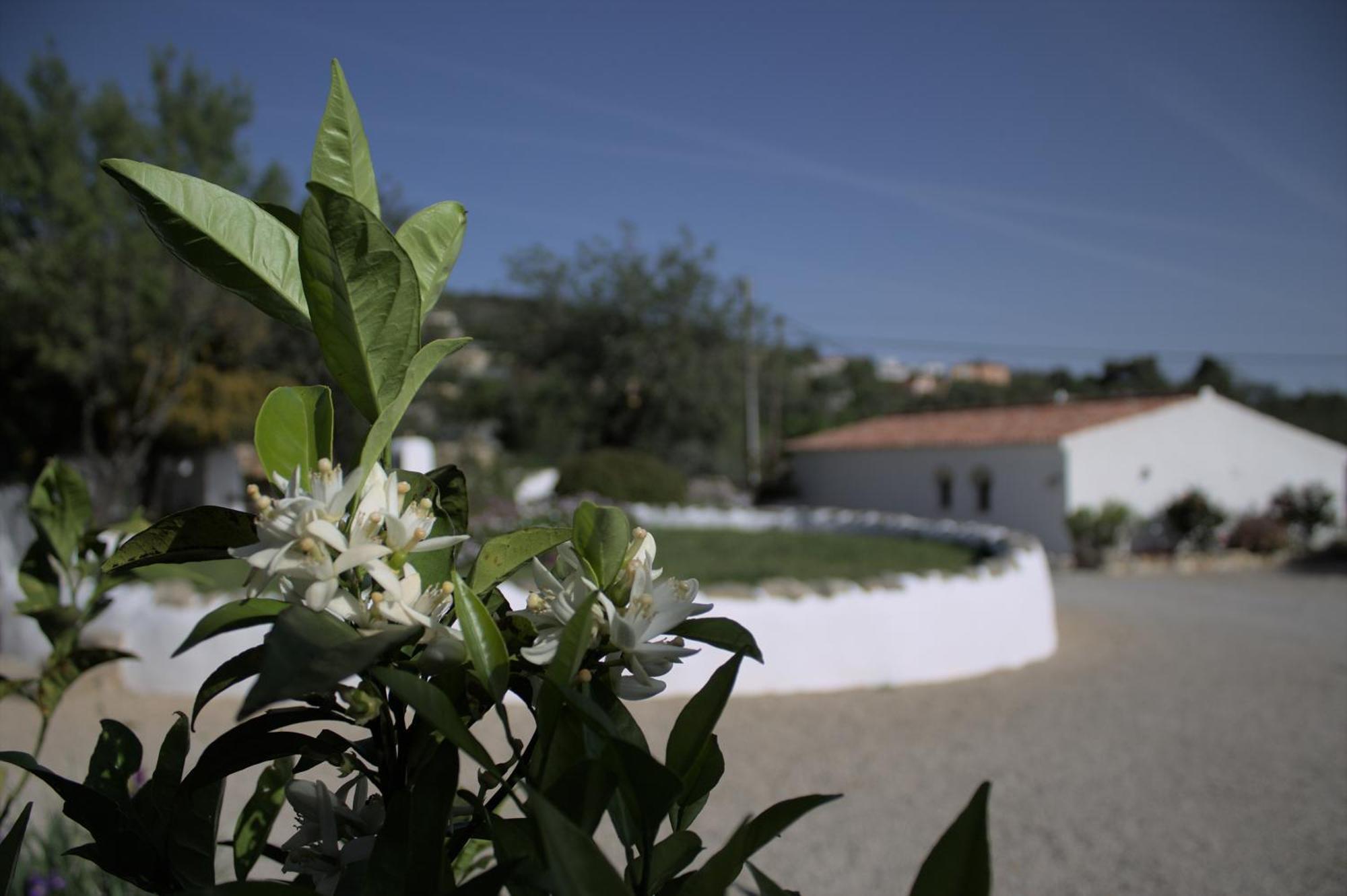 Swimming Pool Quinta Da Eira 140 Years Old Appartement *